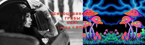 шишки Пролетарск