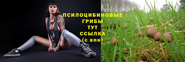 шишки Пролетарск