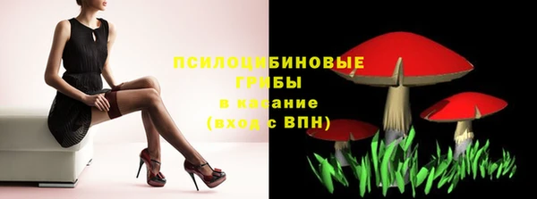 шишки Пролетарск