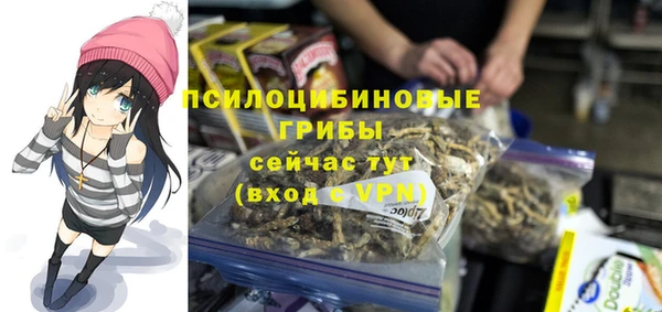 гашик Протвино