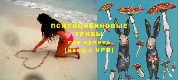 шишки Пролетарск