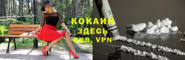 гашик Протвино