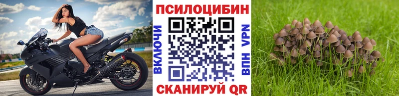 Галлюциногенные грибы Cubensis  мега tor  Хадыженск 